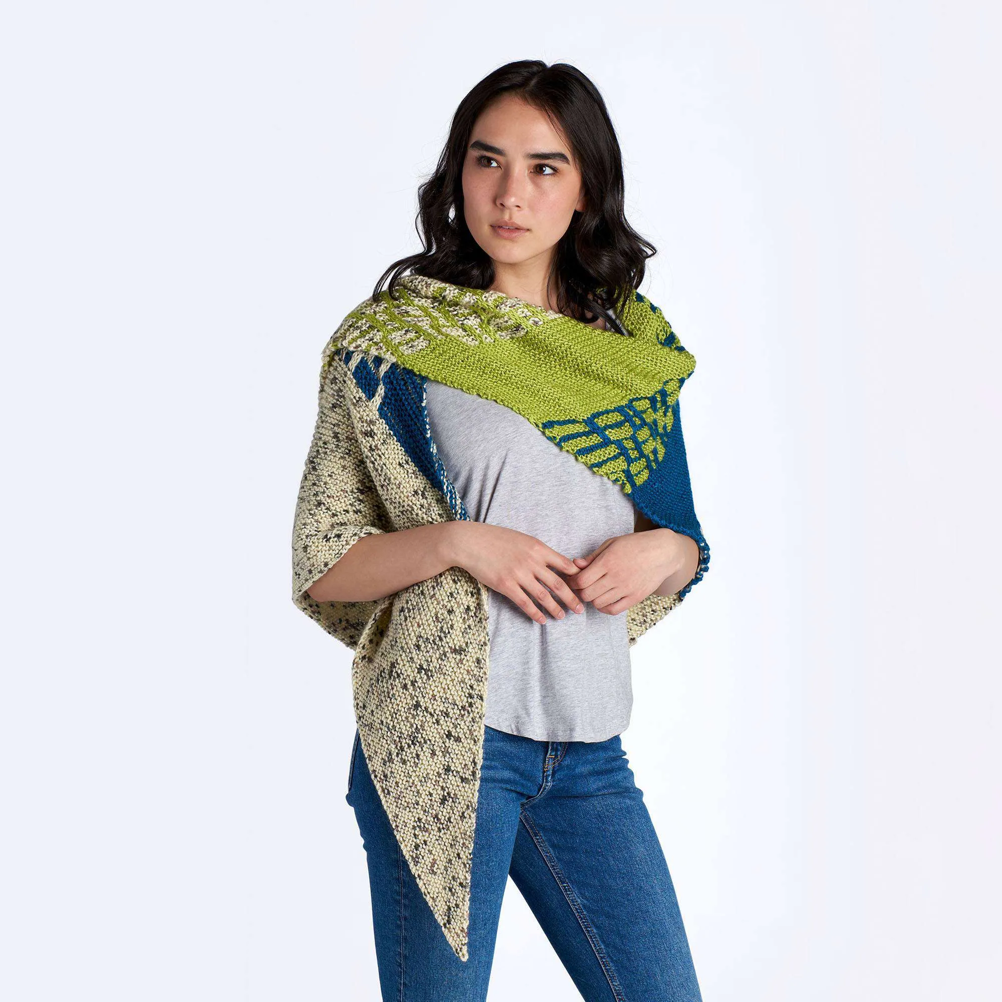 Caron Sampler Wedges Knit Shawl